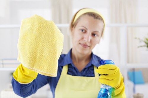 Professional oven cleaning in E3 removing grease from a kitchen oven