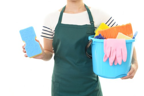 Flexible home cleaning services in E3 for busy households