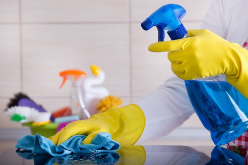 Accepted payment methods for Carpetcleaning E3 including card and PayPal options