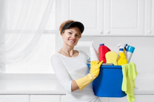 Cleaner in E3 handling office and commercial cleaning tasks