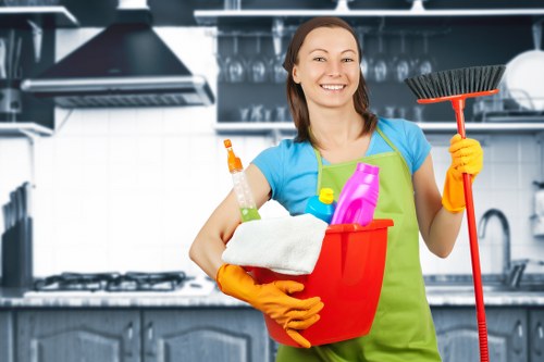 Furniture upholstery cleaning results for homes and businesses in E3