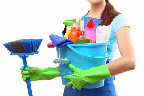 Stain treatment and deep carpet cleaning detail