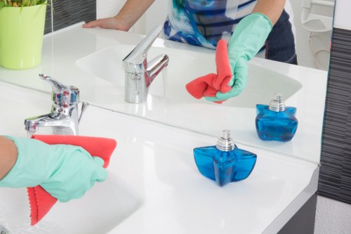 Deep cleaning support for a clean and organized home in E3
