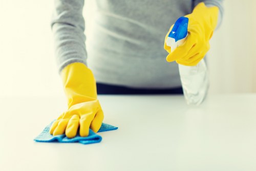 Professional carpet cleaning setup in a home interior