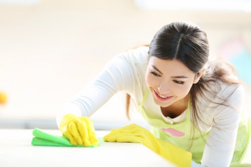 Eco-friendly cleaner in E3 delivering thorough deep cleaning