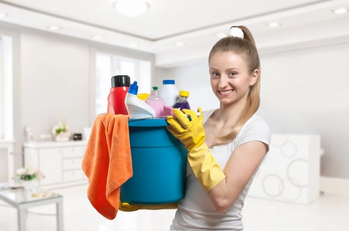Deep carpet cleaning equipment used by a carpets cleaner in E3