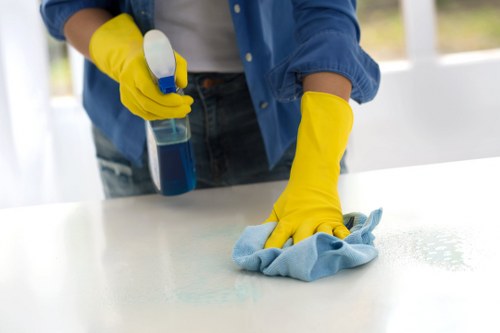Supplier risk assessment for Carpetcleaning E3