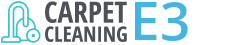 Carpet Cleaning E3